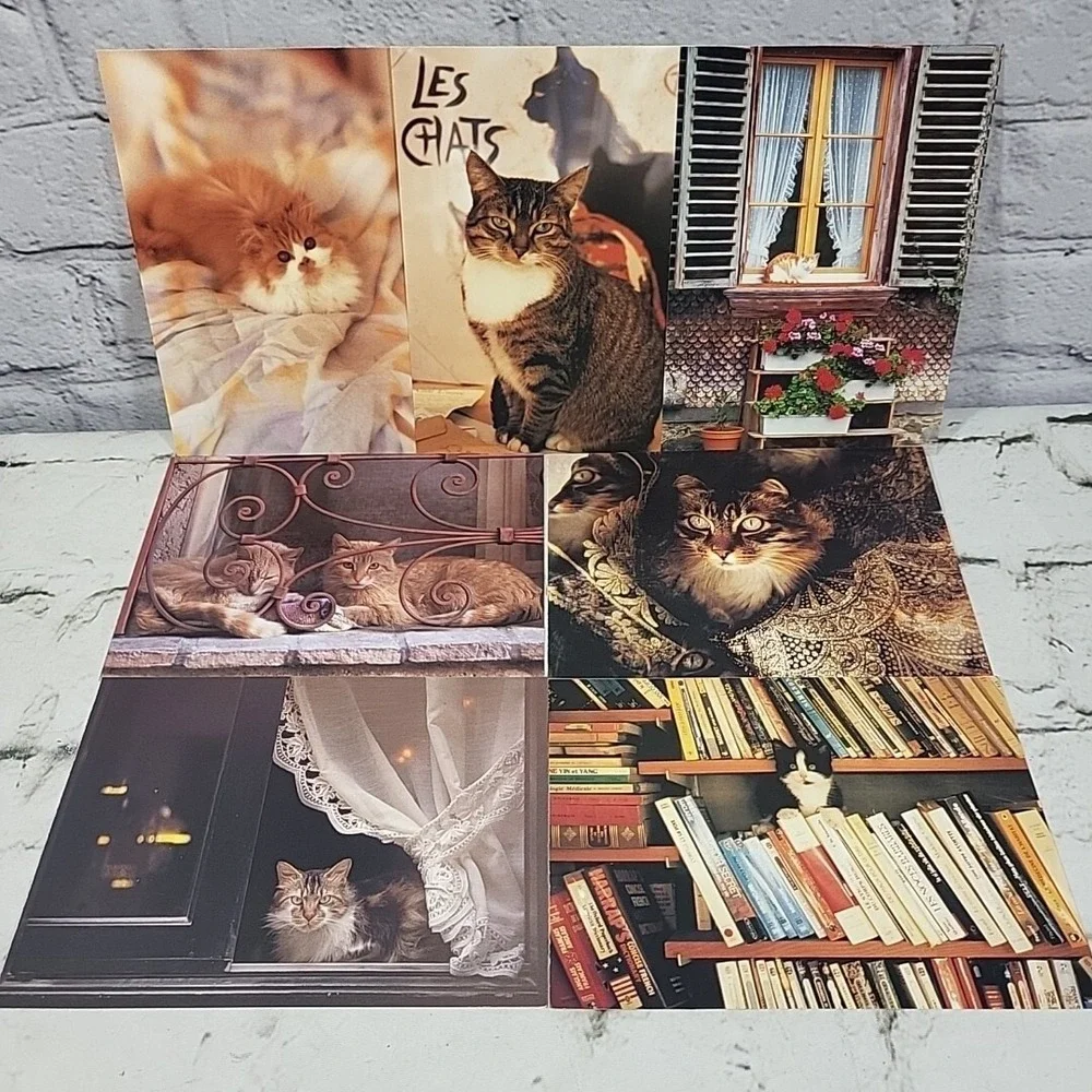 Vintage Oversized Kitty Cat‎ Postcards 7pc Lot #4
